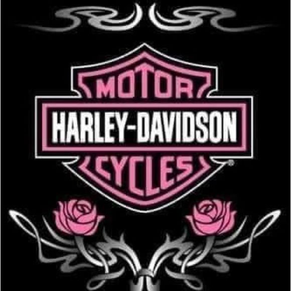 Examples of Harley magnets - Picture 15 of 16